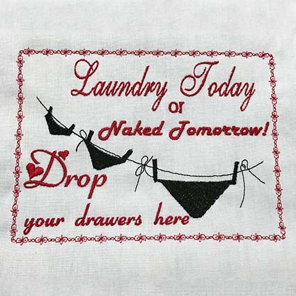 laundry  machine embroidery Design